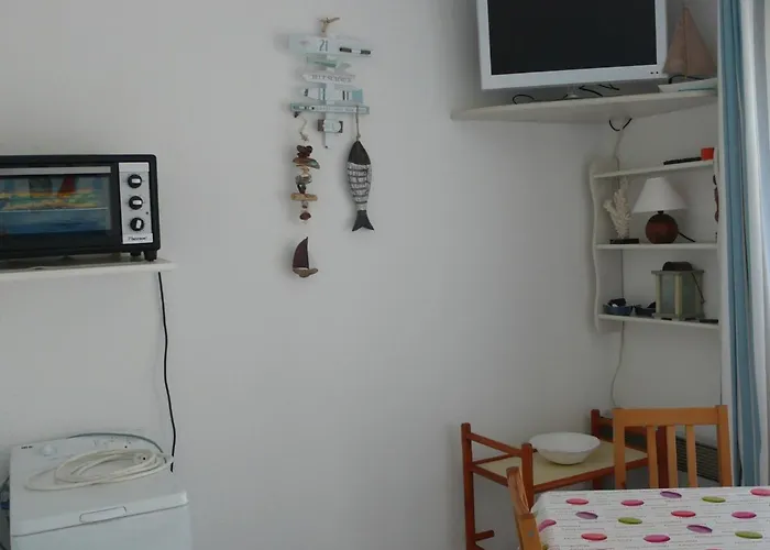 Appartement T2 Cabine 2 Etoiles Au Lavandou Avec Climatisation - Fr-1-308-92 *