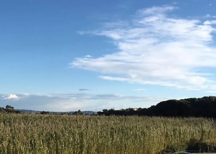 Lägenhet Appartement T2 Cabine 2 Etoiles Au Lavandou Avec Climatisation - Fr-1-308-92 Le Lavandou